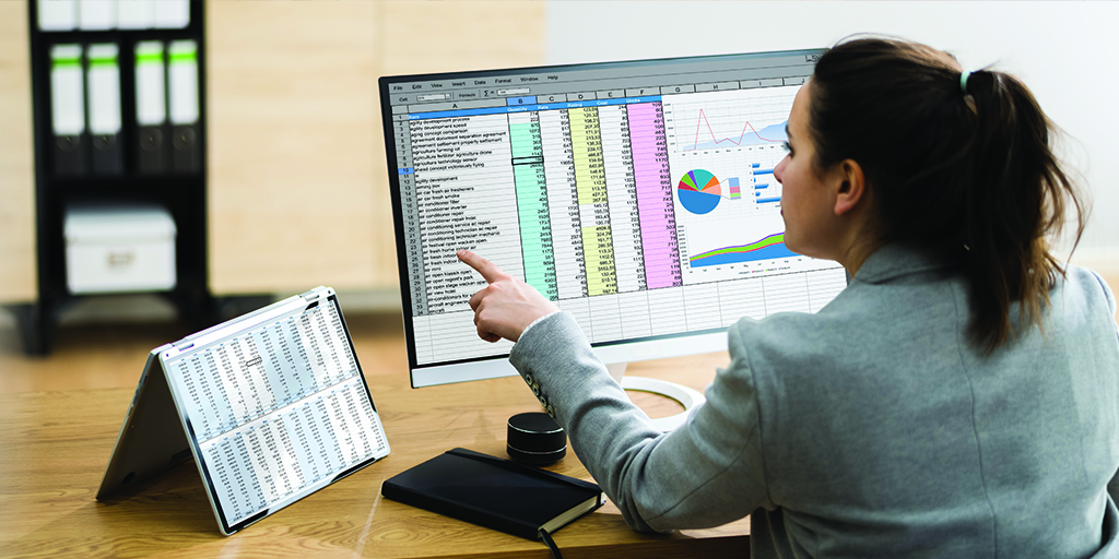 An image of a bookkeeper pointing at a spreadsheet
